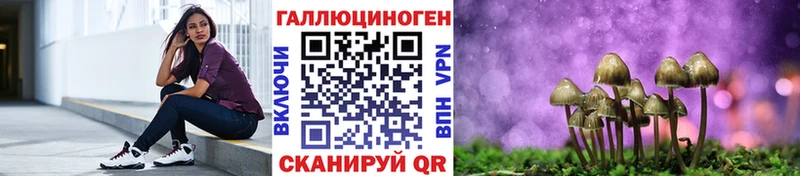 Псилоцибиновые грибы мицелий  Купить закладки  Бронницы 